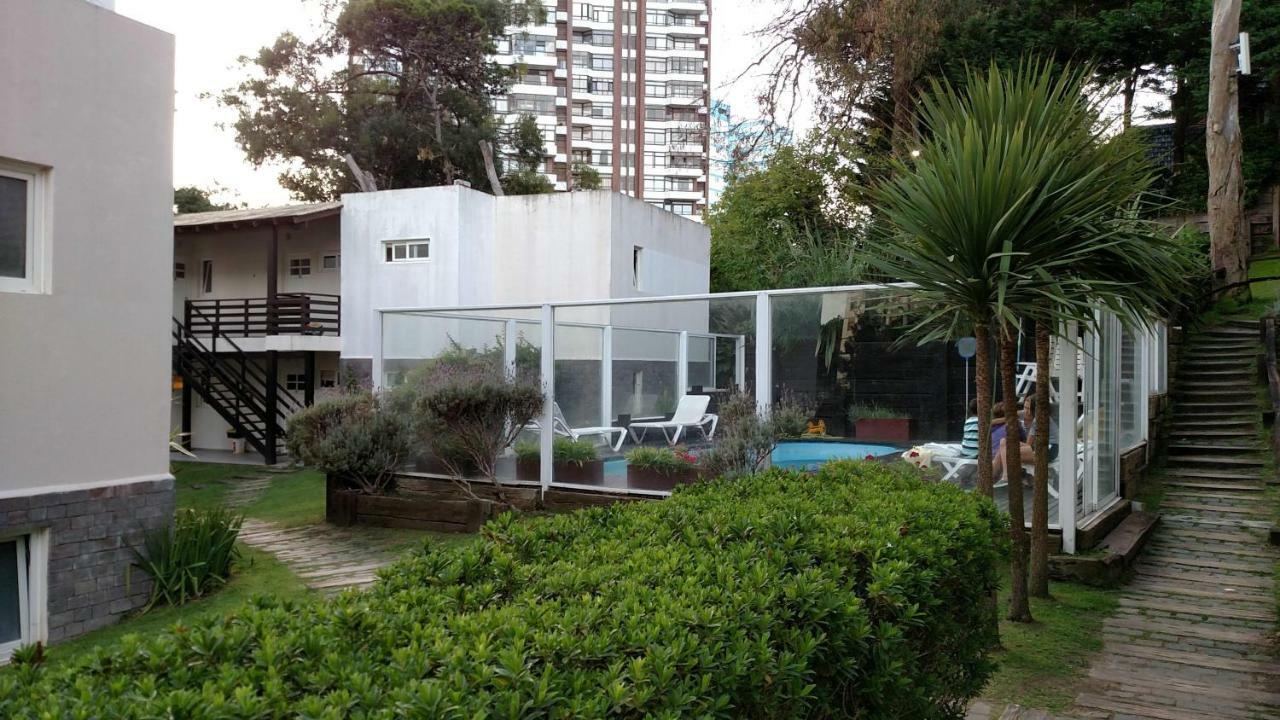 Gaviotas
